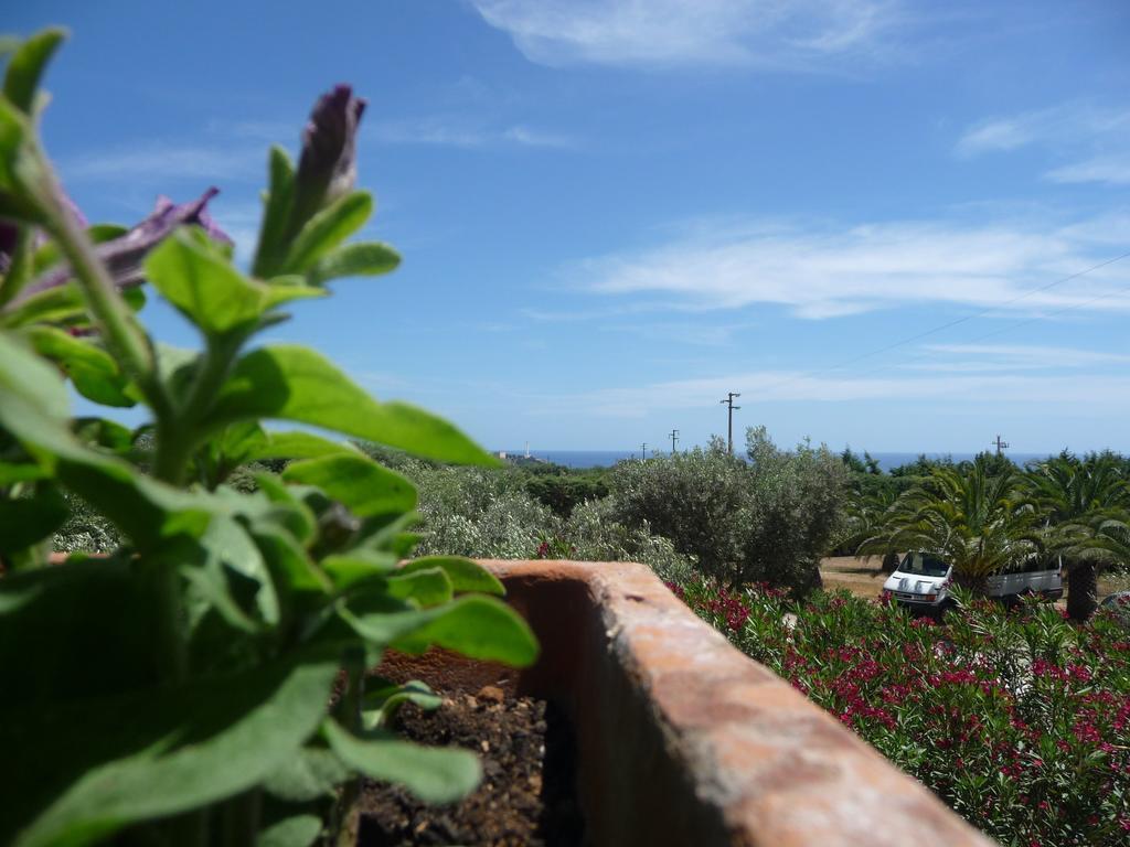 Masseria Serine Santa Maria di Leuca ภายนอก รูปภาพ