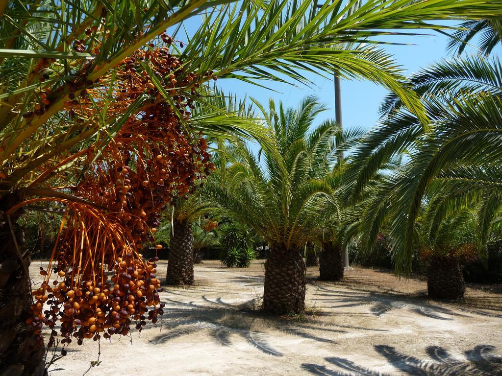 Masseria Serine Santa Maria di Leuca ภายนอก รูปภาพ